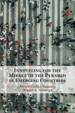 Innovating for the Middle of the Pyramid in Emerging Countries - Alvaro Cuervo-Cazurra [KSIĄŻKA]