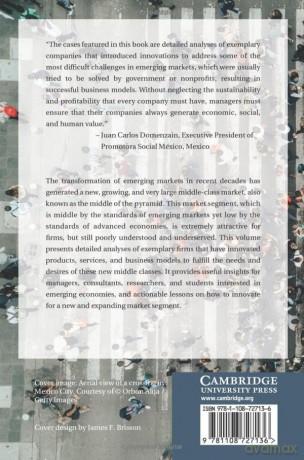 Innovating for the Middle of the Pyramid in Emerging Countries - Alvaro Cuervo-Cazurra [KSIĄŻKA]