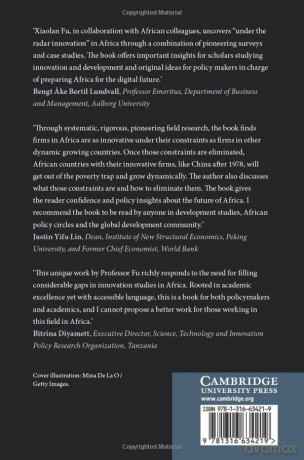 Innovation under the Radar: The Nature and Sources of Innovation in Africa - Xiaolan Fu [KSIĄŻKA]