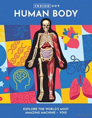 Inside Out Human Body (1): Volume 1 - Luann Columbo [KSIĄŻKA]