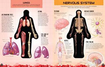 Inside Out Human Body (1): Volume 1 - Luann Columbo [KSIĄŻKA]