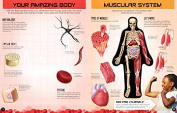 Inside Out Human Body (1): Volume 1 - Luann Columbo [KSIĄŻKA]