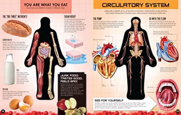Inside Out Human Body (1): Volume 1 - Luann Columbo [KSIĄŻKA]