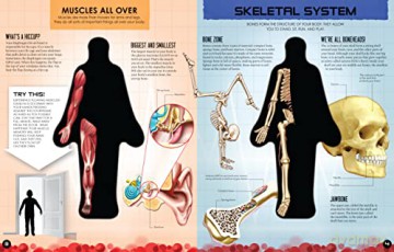 Inside Out Human Body (1): Volume 1 - Luann Columbo [KSIĄŻKA]