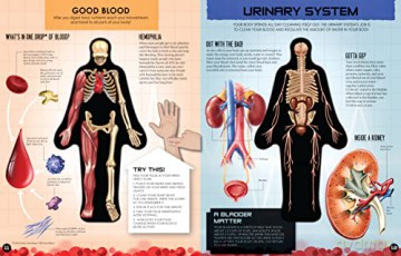 Inside Out Human Body (1): Volume 1 - Luann Columbo [KSIĄŻKA]