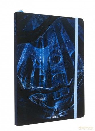 Insights Harry Potter: Aragog Softcover Notebook - Insight Editions [KOMIKS]