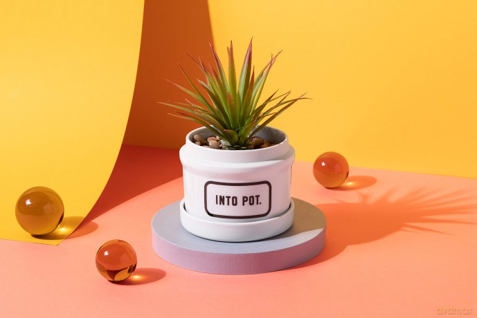 Into Pot Planter w/ Drip Tray - Brass Monkey [KSIĄŻKA]