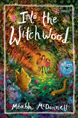 Into the Witchwood - Méabh McDonnell [KSIĄŻKA]