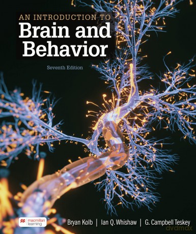 Introduction to Brain and Behavior - Bryan Kolb [KSIĄŻKA]