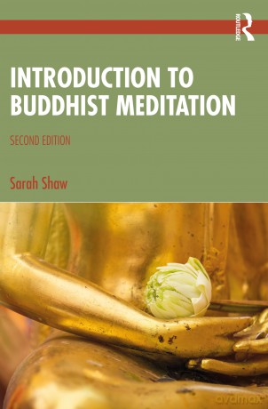 Introduction to Buddhist Meditation - Ijeoma Oluo [KSIĄŻKA]