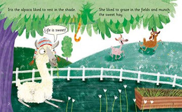 Iris's Wild Ride: Band 05/Green (Collins Big Cat Phonics for Letters and Sounds) [KSIĄŻKA]