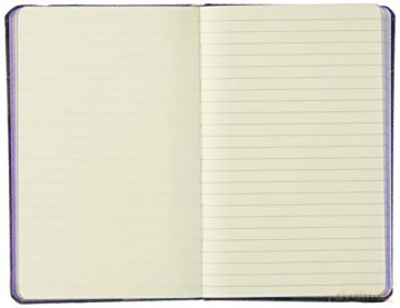 Isle of Skye Notebook: Waverley Genuine Scottish Tartan Notebook - Ron Waverley Scotland [KSIĄŻKA]