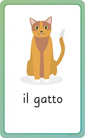 Italian for Everyone Junior First Words Flash Cards - Dk [KSIĄŻKA]