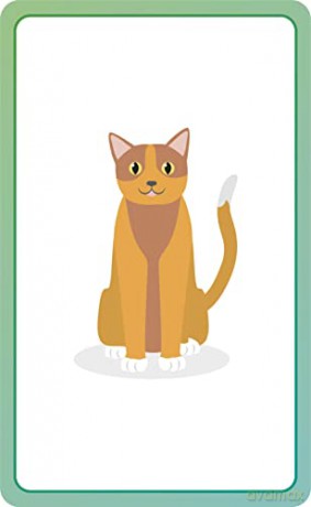 Italian for Everyone Junior First Words Flash Cards - Dk [KSIĄŻKA]