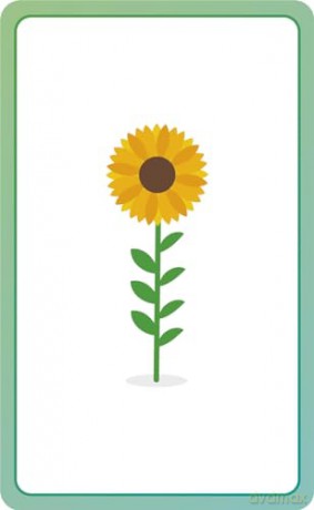 Italian for Everyone Junior First Words Flash Cards - Dk [KSIĄŻKA]