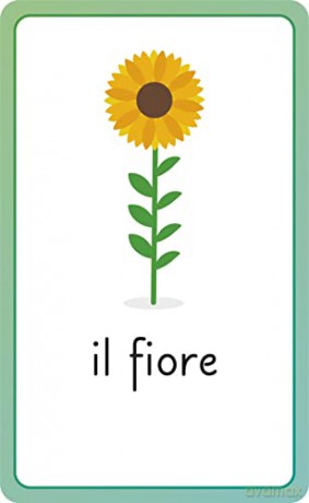 Italian for Everyone Junior First Words Flash Cards - Dk [KSIĄŻKA]
