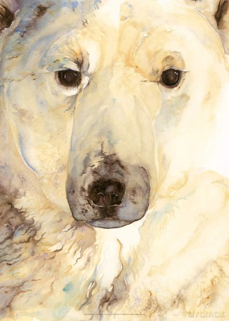 Jackie Morris Ice Bear Poster - Jackie Morris [KSIĄŻKA]
