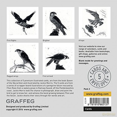 Jackie Morris Queen of the Sky Notecards Pack 2 - Jackie Morris [KSIĄŻKA]
