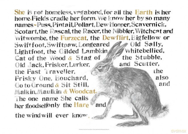 Jackie Morris The Names of the Hare Poster (Jackie Morris Posters) - Jackie Morris [KSIĄŻKA]