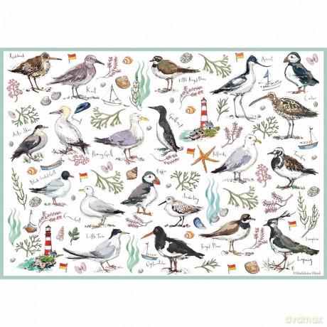 Jigsaw 500 Piece Madeleine Floyd Seabird [PUZZLE]