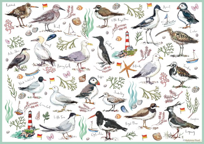 Jigsaw 500 Piece Madeleine Floyd Seabird [PUZZLE]