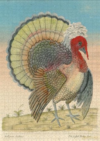John Derian Paper Goods: Crested Turkey 1,000-Piece Puzzle: 1,000-pieces - John Derian [KSIĄŻKA]