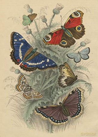 John Derian Paper Goods: Dancing Butterflies 750-Piece Puzzle (Artisan Puzzle) - John Derian [KSIĄŻKA]