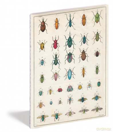 John Derian Paper Goods: In the Garden Notebooks - Derian [KALENDARZ]