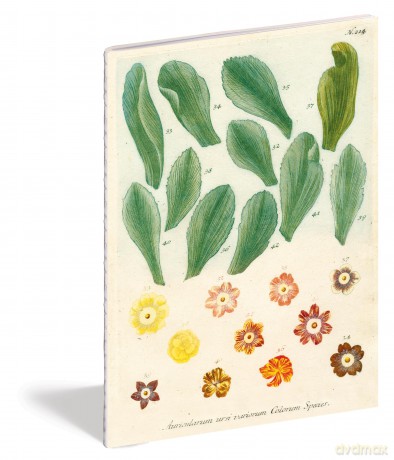 John Derian Paper Goods: Kitchen Delights Notebooks - Derian [KALENDARZ]