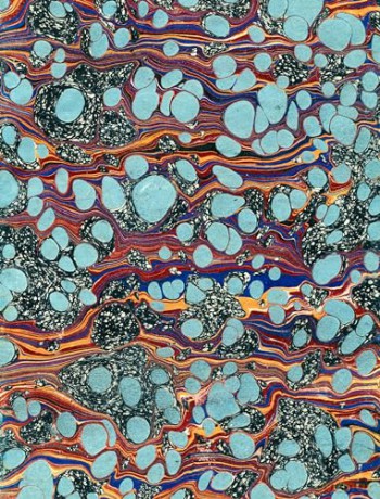 John Derian Paper Goods: Wrapping Paper & Gift Tags: Wrapping Paper & Gift Tags - Derian [KALENDARZ]