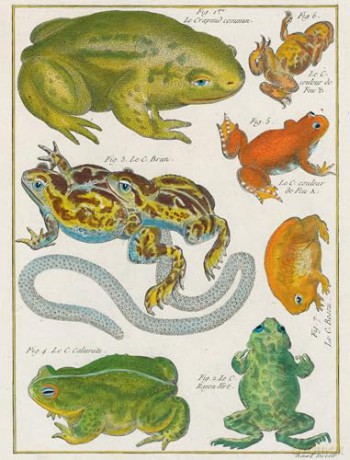 John Derian Paper Goods: Wrapping Paper & Gift Tags: Wrapping Paper & Gift Tags - Derian [KALENDARZ]