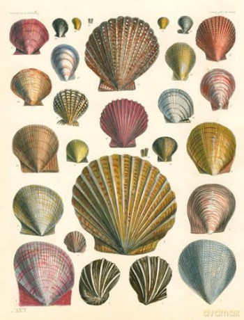 John Derian Paper Goods: Wrapping Paper & Gift Tags: Wrapping Paper & Gift Tags - Derian [KALENDARZ]