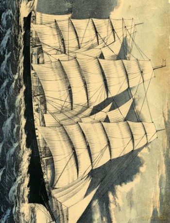 John Derian Paper Goods: Wrapping Paper & Gift Tags: Wrapping Paper & Gift Tags - Derian [KALENDARZ]