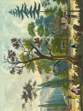 John Derian Paper Goods: Wrapping Paper & Gift Tags: Wrapping Paper & Gift Tags - Derian [KALENDARZ]