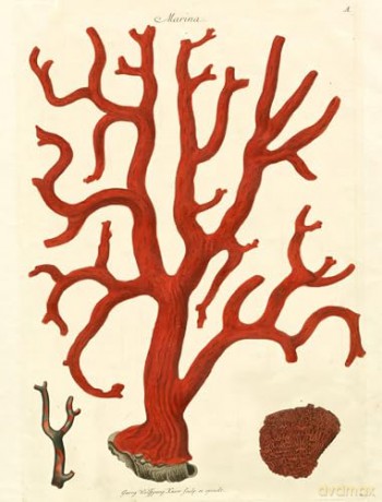 John Derian Paper Goods: Wrapping Paper & Gift Tags: Wrapping Paper & Gift Tags - Derian [KALENDARZ]