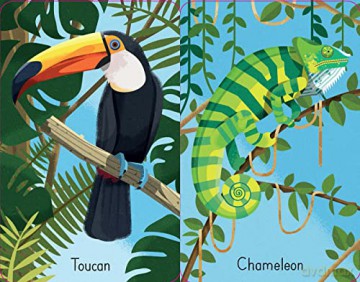 Jungle Snap (Snap Cards) - Lucy Bowman [KSIĄŻKA]