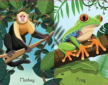 Jungle Snap (Snap Cards) - Lucy Bowman [KSIĄŻKA]