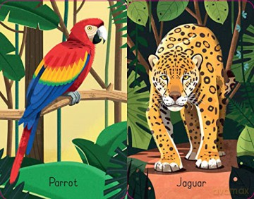 Jungle Snap (Snap Cards) - Lucy Bowman [KSIĄŻKA]