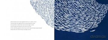 Kai's Ocean Of Curiosities - Josephine Topolanski [KSIĄŻKA]