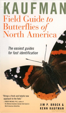 Kaufman Field Guide to Butterflies of North America (Kaufman Focus Guides) - Jim P Brock [KSIĄŻKA]