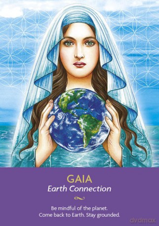 Keepers of the Light Oracle Cards - Kyle Gray [KSIĄŻKA]