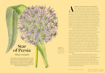 Kew - Parched: 50 plants that thrive and survive in a dry garden - Philip Clayton [KSIĄŻKA]