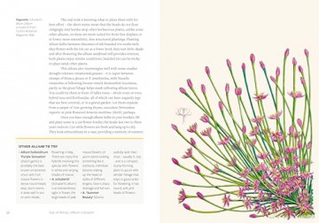 Kew - Parched: 50 plants that thrive and survive in a dry garden - Philip Clayton [KSIĄŻKA]