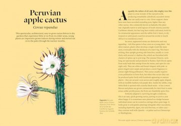 Kew - Parched: 50 plants that thrive and survive in a dry garden - Philip Clayton [KSIĄŻKA]