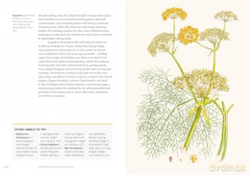 Kew - Parched: 50 plants that thrive and survive in a dry garden - Philip Clayton [KSIĄŻKA]