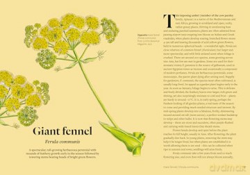 Kew - Parched: 50 plants that thrive and survive in a dry garden - Philip Clayton [KSIĄŻKA]