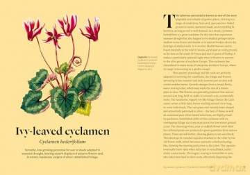 Kew - Parched: 50 plants that thrive and survive in a dry garden - Philip Clayton [KSIĄŻKA]