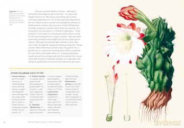 Kew - Parched: 50 plants that thrive and survive in a dry garden - Philip Clayton [KSIĄŻKA]