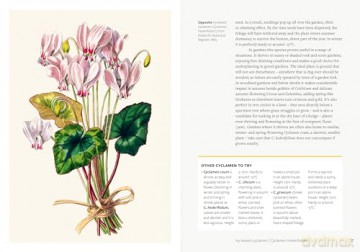 Kew - Parched: 50 plants that thrive and survive in a dry garden - Philip Clayton [KSIĄŻKA]