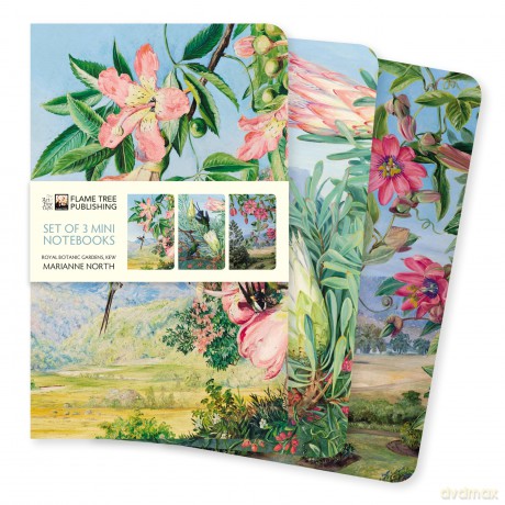 Kew Gardens' Marianne North Set of 3 Mini Notebooks (Mini Notebook Collections) - Flame Tree Studio [KSIĄŻKA]